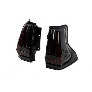 Achterlichten Dragon V1 (2013-2023, 2 stuks) foto 3