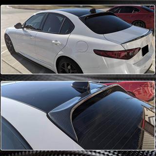 Spoilerblad V2 (Carbon) foto 2
