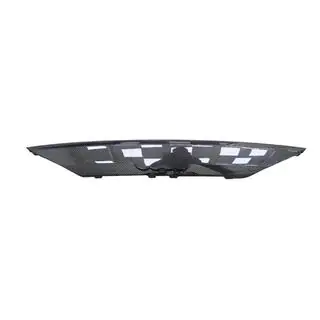 Carbon afdekking boven de kentekenplaat (2019-2022, Carbon) foto 3