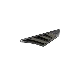Spatbordkappen (2019-2022, Dry Carbon) foto 4