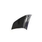 Audi TT 2006–2014 Carbon afdekpanelen voor achterkwartier (Cabriolet, Carbon) foto 4
