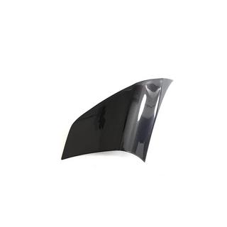 Carbon afdekpanelen voor achterkwartier (Cabriolet, Carbon) Audi TT 2006–2014 foto 4
