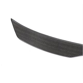 Spoiler V2 (Carbon) foto 3