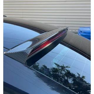 Spoiler afdekplaat (voor F06, carbon) foto 4