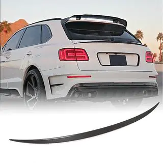 Spoiler (Dry Carbon)