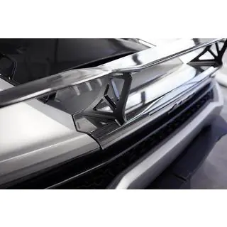 Spoiler (carbon) foto 2