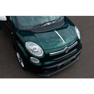 RVS sierstrip voor motorkap foto 2