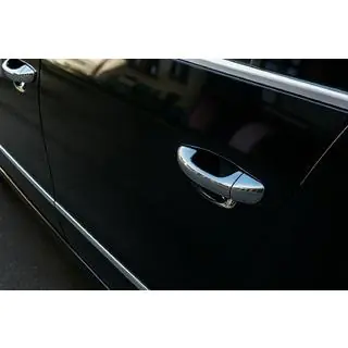 RVS deurgreepcovers (HB, 4 stuks) foto 1