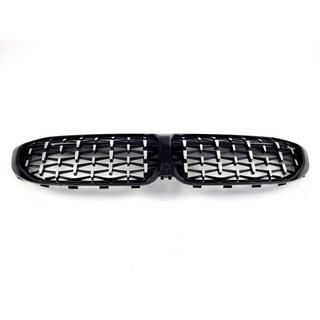 Diamond Silver nierengrilles (2018-2022, zwarte omlijsting) foto 4