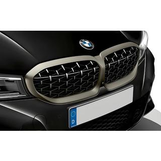 Nierengrilles Diamond Silver (2018-2022, matte chromen rand) foto 1