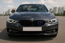 BMW 3-serie F34 2013–2020 M-Look nierengrilles (M-Color) foto 1