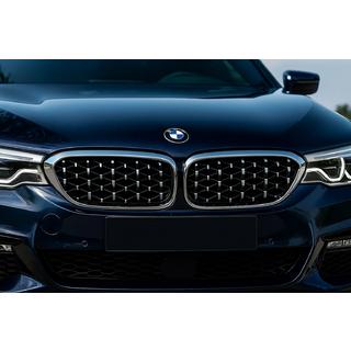 Niergrille Diamond Silver V1 (2017-2020, chromen omlijsting) BMW 5 Serie G30/G31 2017–2023 foto 1
