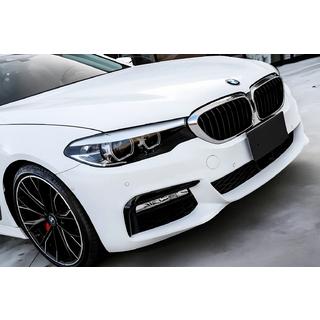 Niergrille 1 Bar (2017-2020, hoogglans zwart met chromen rand) BMW 5 Serie G30/G31 2017–2023 foto 1