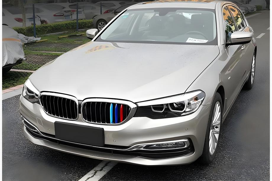 BMW 5 Serie G30/G31 2017–2023 Niergrille 1 Bar (2017-2020, M-Color met chromen omlijsting) Foto 1