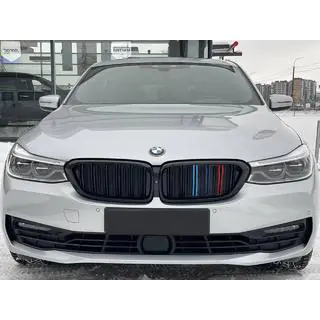 Nierengrille M-Look (2017-2020, M-Color) foto 1