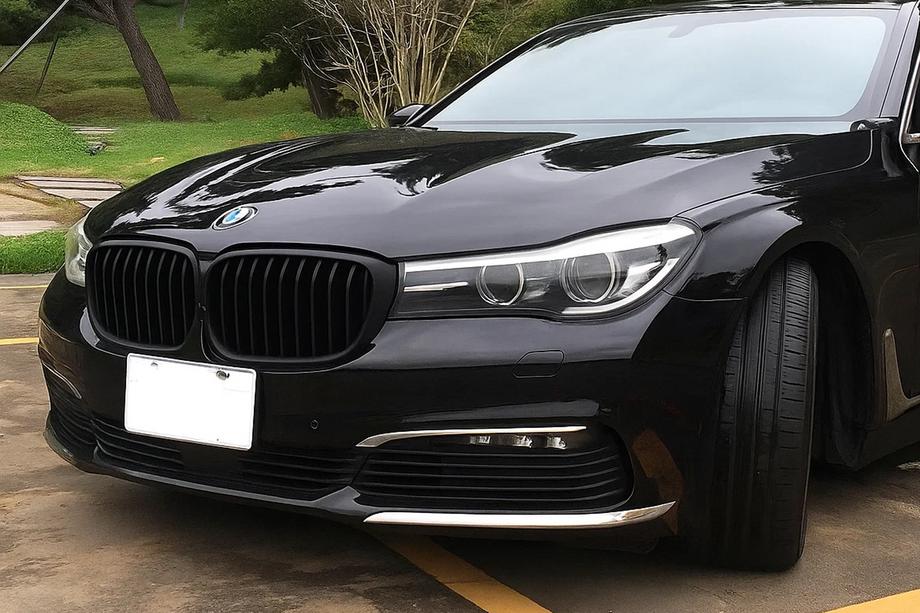 BMW 7 Serie G11/G12 2015–2022 Nierengrille 1 Bar (2016-2019, mat zwart) Image
