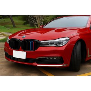 Niergrille 1 Bar (2016-2019, M-Color) BMW 7 Serie G11/G12 2015–2022 foto 1