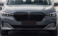 BMW 7 Serie G11/G12 2015–2022 Nierengrille 1-spijls (2019-2022, M-Color) foto 1