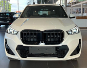 BMW X1/iX1 (U11) 2022– Nierrooster 1 Bar (hoogglans zwart) foto 1