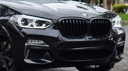 BMW X3 G01 2018– Nierengrilles 1 Bar (2018-2021, zwart glanzend) foto 4