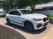 BMW X3 G01 2018– Nierengrilles 1 Bar (2018-2021, zwart glanzend) foto 3
