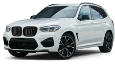 BMW X3 G01 2018– Nierengrilles 1 Bar (2018-2021, zwart glanzend) foto 1