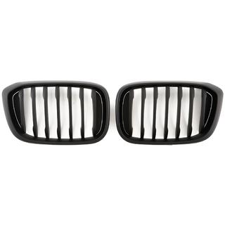 Nierengrille 1 Bar (2018-2021, matzwart) foto 2