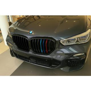 Nierengrille 1-spijls (2019-2022, M-Color) BMW X5 G05 2019–2026 foto 1