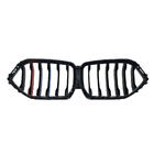 BMW X6 G06 2019–2027 Nierengrille 1-spijls (2019-2022, M-Color) foto 3