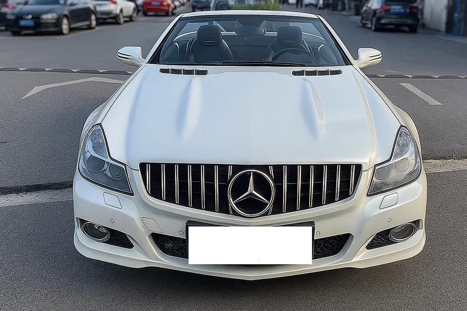 Mercedes SL R230 2001–2011 GT Panamericana voorgrille (2008-2011) Foto 1