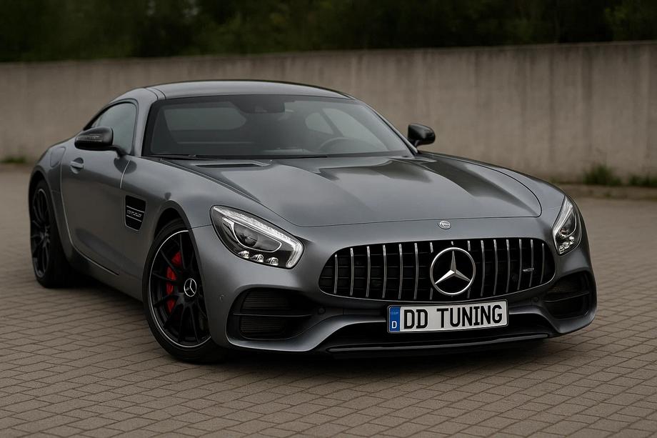 Mercedes AMG GT C190/R190 2014–2022 Voorgrille GT Panamericana (2014-2017) Image