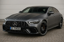 Mercedes AMG GT 4 X290 2018– GT Panamericana voorgrille (2018-2022) foto 1