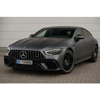 GT Panamericana voorgrille (2018-2022) Mercedes AMG GT 4 X290 2018– foto 1