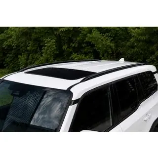Geïntegreerde dakrails zwart OEM (aluminium)