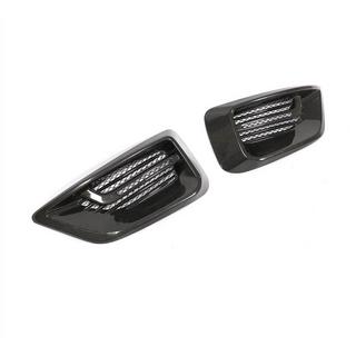 Mistlamp covers V2 (2014-2019, Carbon) foto 3