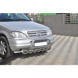 Bullbar (RVS) foto 4