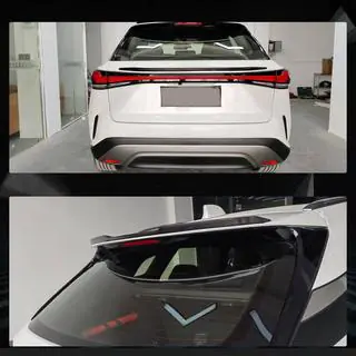 Spoiler (carbon) foto 2