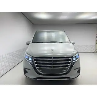 Voorgrille Exclusive (2024+) foto 2