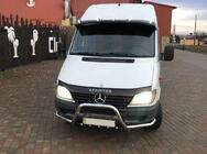 Mercedes Sprinter W901/902/903/904/905 1995–2006 Bullbar Exclusive (RVS) 1995-2000 foto 4