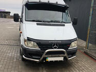 Mercedes Sprinter W901/902/903/904/905 1995–2006 Bullbar Exclusive (RVS) 1995-2000 foto 1