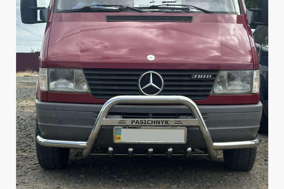 Mercedes Sprinter W901/902/903/904/905 1995–2006 Bullbar Exclusive (RVS) Foto 5