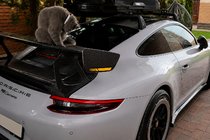 Porsche 911 (991) 2011–2019 Spoiler V4 (Carbon) foto 2