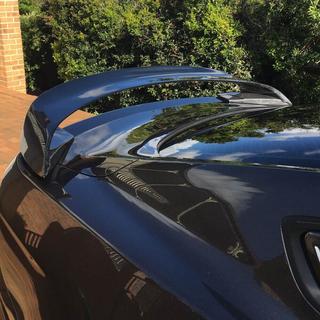 Spoiler V1 (carbon) foto 4