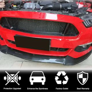 Radiateurgrille (2015-2017, Carbon) foto 2
