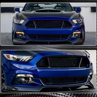 Radiateurgrille (2015-2017, Carbon) foto 3