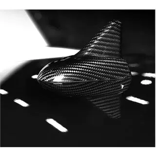 Dakvin (Carbon) foto 3
