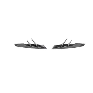 Voorbumper splitter (carbon) foto 3