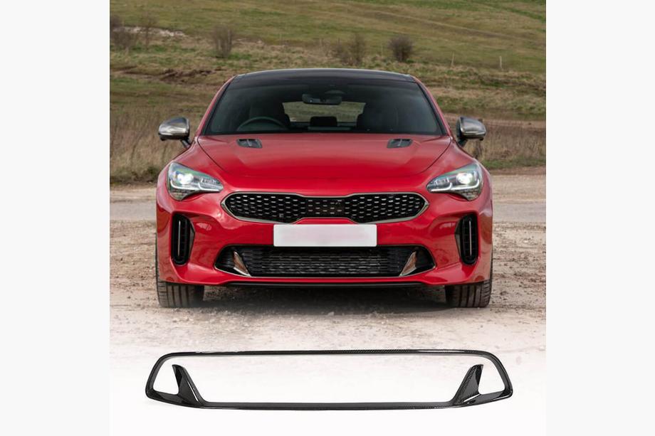 Kia Stinger 2017–2023 Bumperrooster (carbon) Image