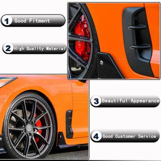 Carbon covers voor voorspatborden foto 2
