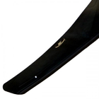 Lexus RX 1997–2002 Motorkapdeflector (HIC) foto 2